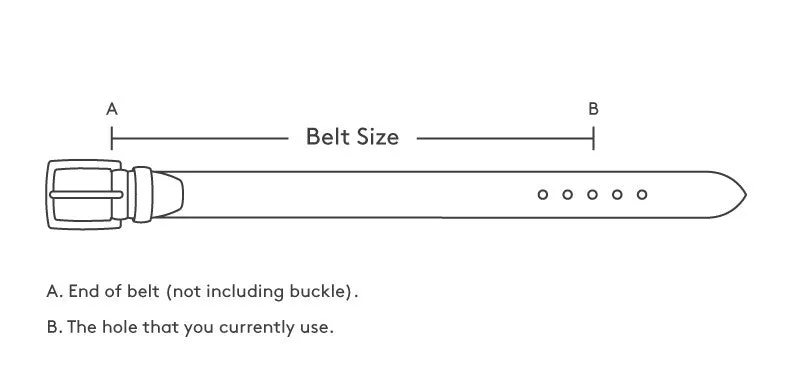 Black Cherry Western Cowboy Belt Ostrich Quill Print Leather - Rodeo Buckle
